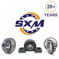 Wuxi Shenxi Bearing Manufacturing Co., Ltd. Wuxi Shenxi Bearing Manufacturing Co., Ltd.