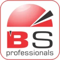 BroadSilicon