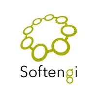 Softengi