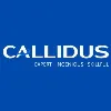Callidus Staffing Solutions Pvt Ltd Callidus Staffing Solutions Pvt Ltd