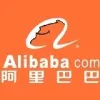 阿里巴巴(中国)网络技术有限公司