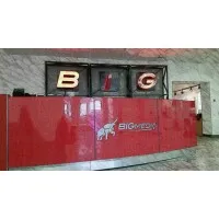 Big Media Signs