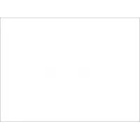 Dogan Gazetecilik A.Ş.