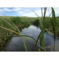 Grassroots Environmental Services Grassroots Environmental Services