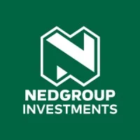 Nedgroup Investments