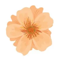 Our Aging Services Our Aging Services