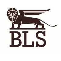 BLS. Business Law Solutions