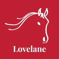 Lovelane Special Needs Horseback Riding Program