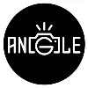 Angle Angle