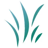 Nexecon Consulting Group