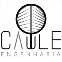 Caule Engenharia