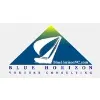Blue Horizon Venture Consulting
