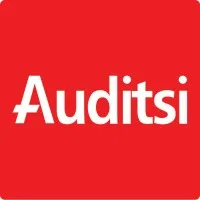 Auditsi Executive Search