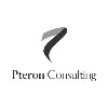 株式会社プテロン・コンサルティング / Pteron Consulting, Inc.
