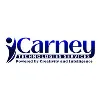Carney Technologies Services Carney Technologies Services