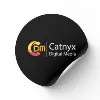 Catnyx Digital Media Catnyx Digital Media