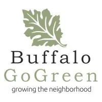 BUFFALO GO GREEN INC BUFFALO GO GREEN INC