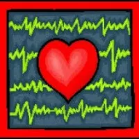 Florida Heart CPR Florida Heart CPR