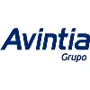 Grupo Avintia Grupo Avintia