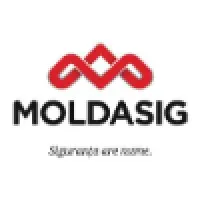 MoldAsig.com