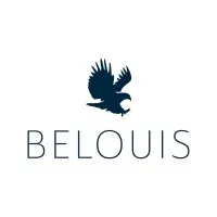 Belouis Investment Group