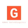 GMAC Intelligence GMAC Intelligence