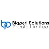 BigPerl Solutions Private Limited
