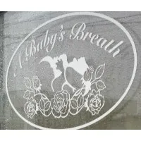 A Baby's Breath A Baby's Breath