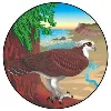 Stewards of the Coast and Redwoods Stewards of the Coast and Redwoods