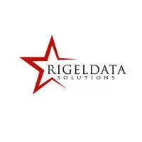 RigelData Solutions