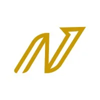 Next Practice Partners