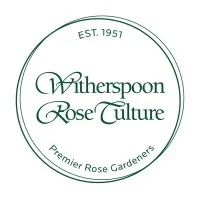 Witherspoon Rose Culture