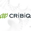 CRIBIQ CRIBIQ