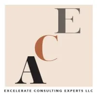 Accelerate Consulting Experts, LLC (ACE)