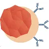 Queensland Anaesthetic Reaction Clinic Queensland Anaesthetic Reaction Clinic