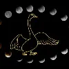 DappGoose Labs DAO DappGoose Labs DAO