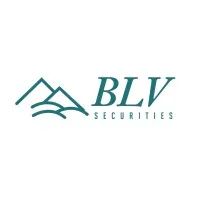 BLV Securities