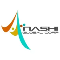 ANASHI GLOBAL SERVICES CORP