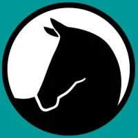 SAFE Horse Rescue (Save A Forgotten Equine)