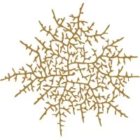 Hyphae Design Laboratory