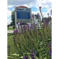 Scene Clean Scene Clean