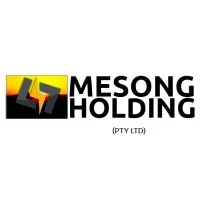 Mesong Holding (Pty) Ltd