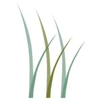 Wiregrass Behavioral Group, LLC