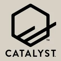 Catalyst - The NetSuite Solutions Company Catalyst - The NetSuite Solutions Company