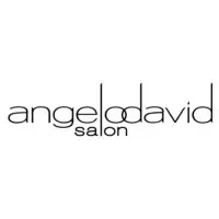 Angelo David Salon