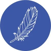 Bird Collective Bird Collective