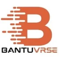 Bantuvrse IT Consulting
