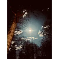 Live in Brevard Live in Brevard