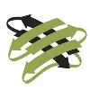 Green Mountain Antibodies Green Mountain Antibodies