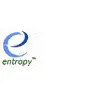 Entropy Systems Private limited
